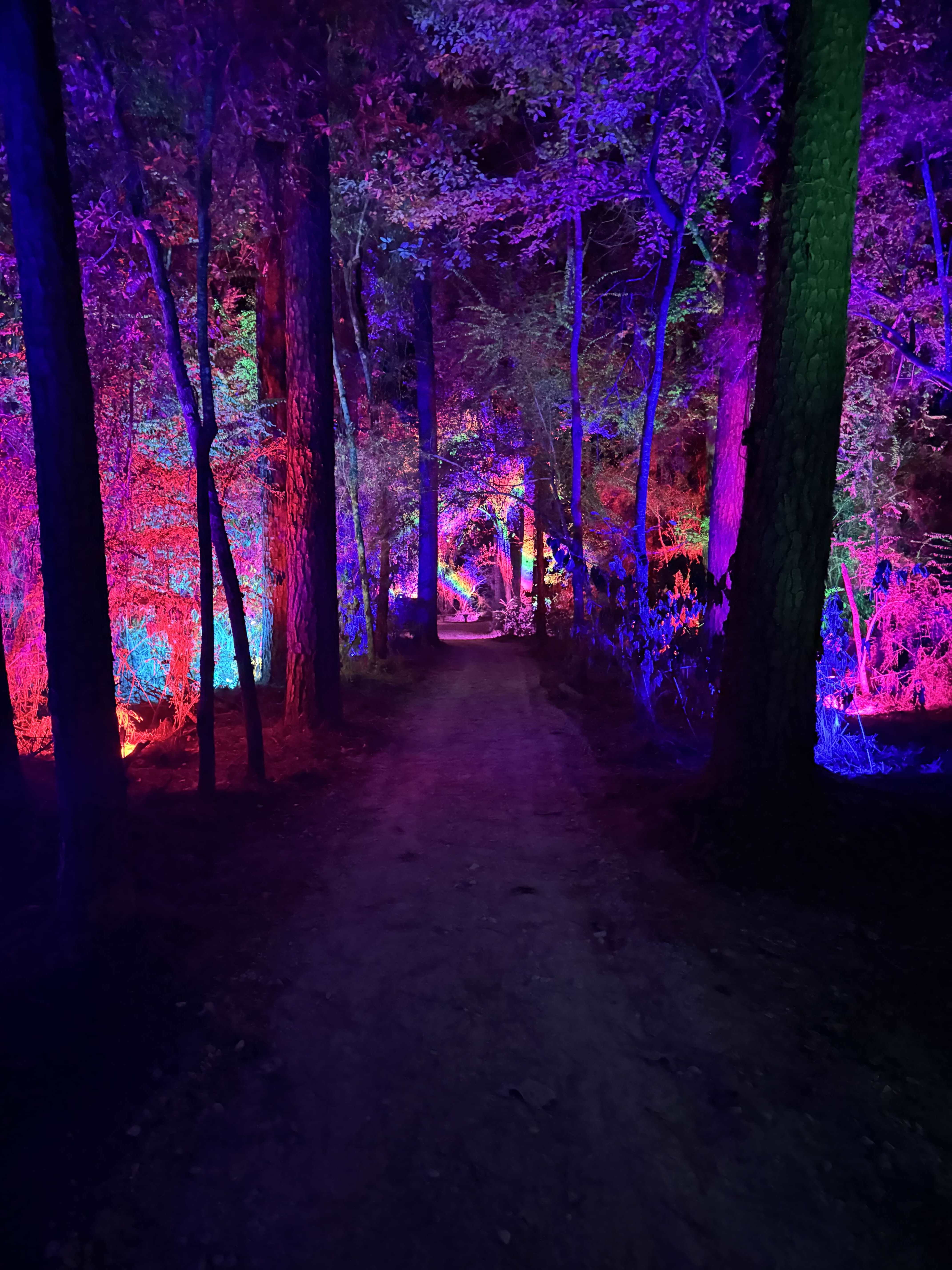 Rainbow Trail